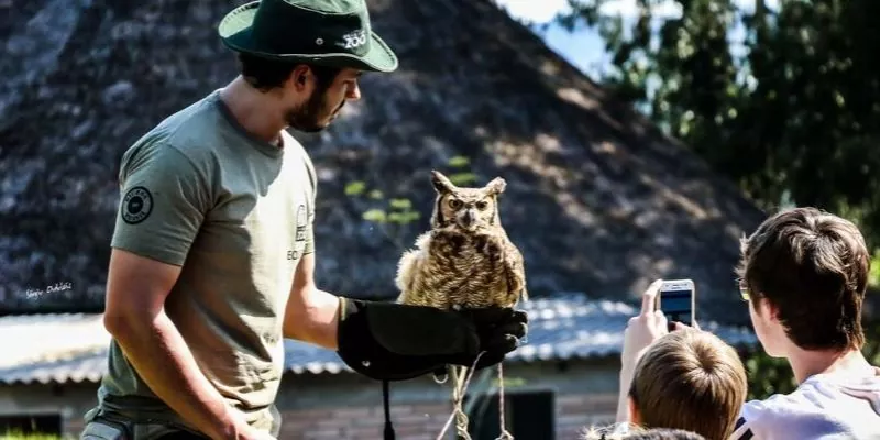 Visitantes observam e fotografam uma coruja sendo exibida por um tratador no GramadoZoo, atração turística da Serra Gaúcha focada na preservação da fauna brasileira.