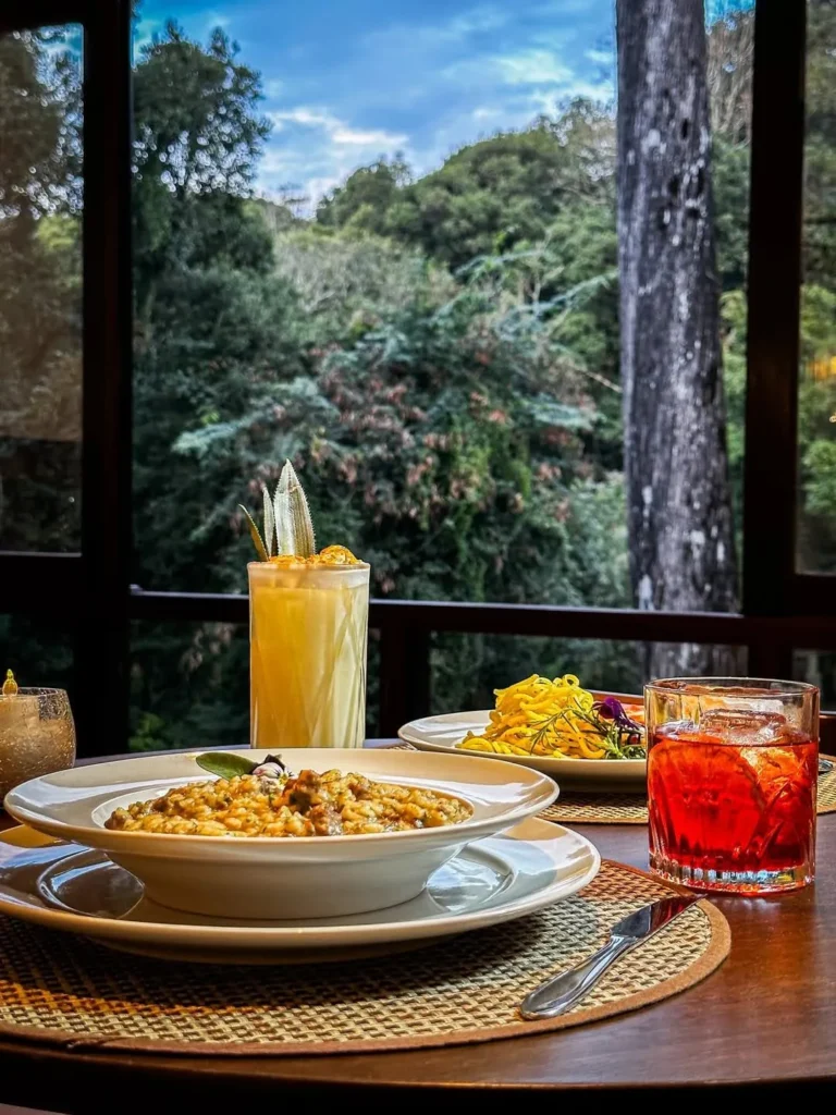 Prato de risoto servido em uma mesa com vista para a natureza ao fundo, acompanhado de um copo de drink e uma porção de massa. A atmosfera tranquila e acolhedora do hotel em Gramado é complementada pela luz suave e pela vista exuberante das árvores e do céu azul.