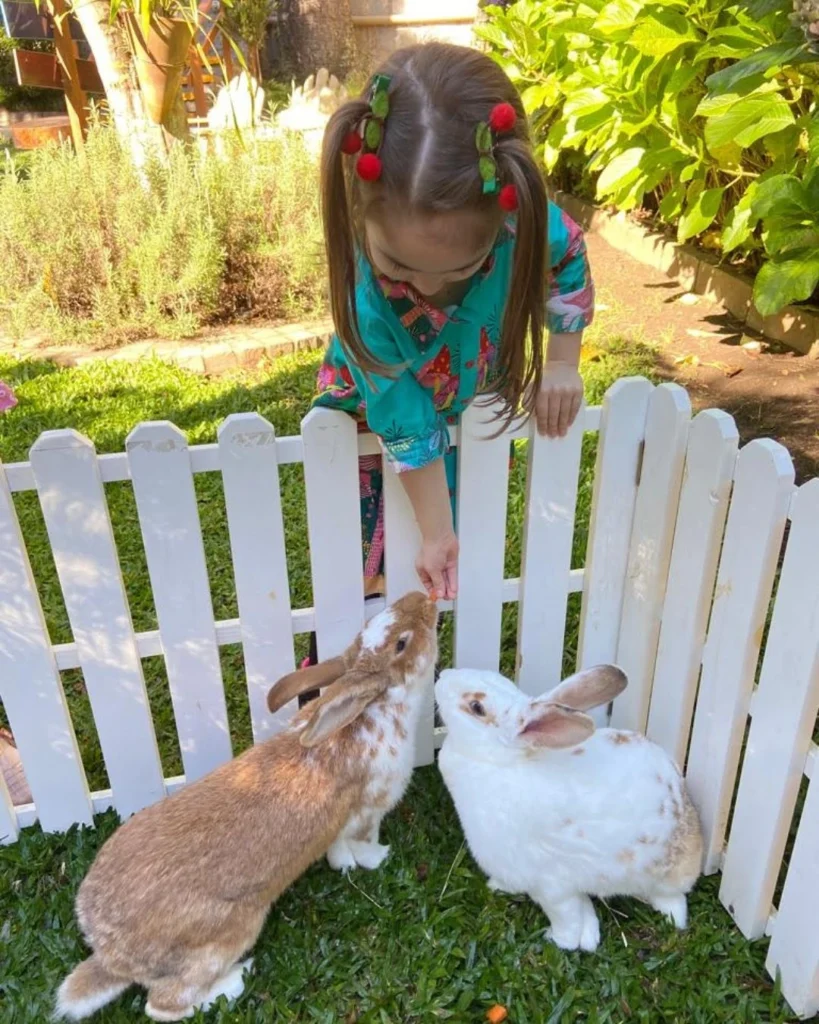 Criança participa de atividade de recreação infantil de Páscoa no Hotel Recanto da Serra, alimentando coelhos em um espaço ao ar livre cercado. A cena destaca a programação especial de Páscoa 2026 no hotel, com experiências lúdicas e contato com animais para os pequenos.