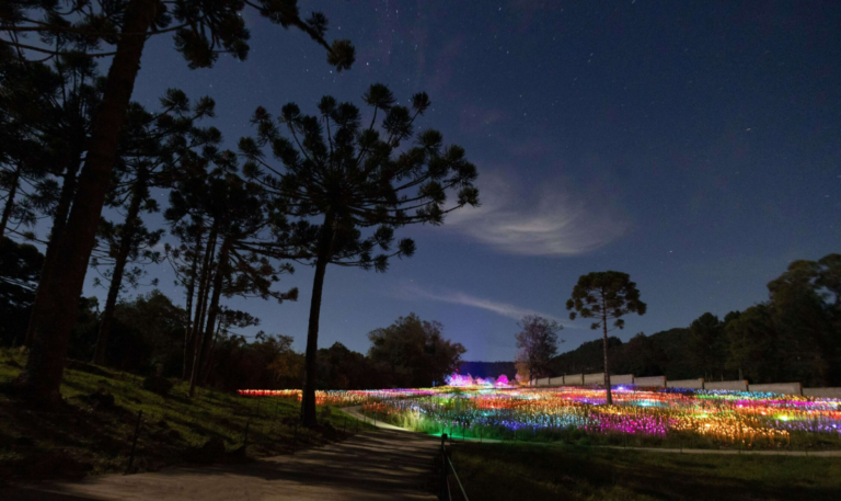 Cenário noturno com araucárias e milhares de luzes coloridas iluminando os jardins no espetáculo Lumni Gramado.