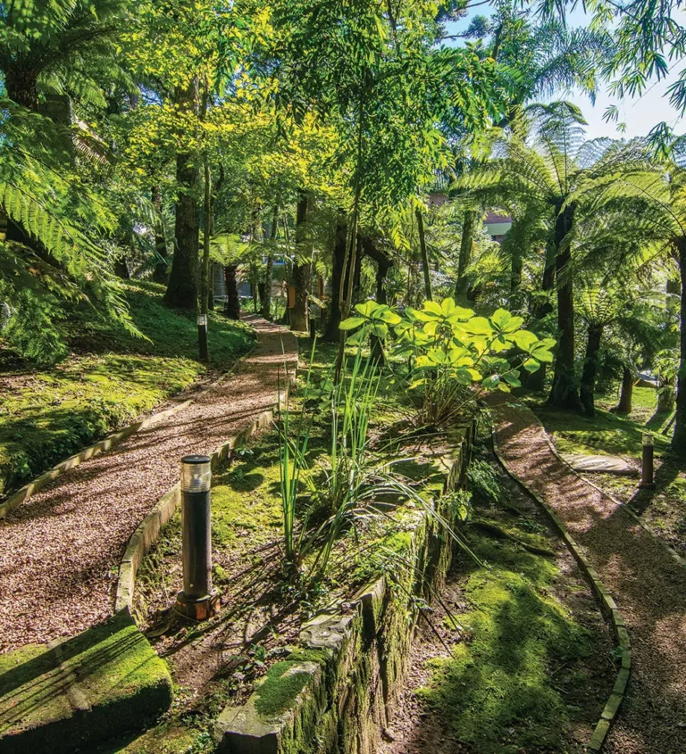 Caminho sombreado por árvores e vegetação nativa em Gramado, representando os passeios ao ar livre ideais para quem busca contato com a natureza na Serra Gaúcha.