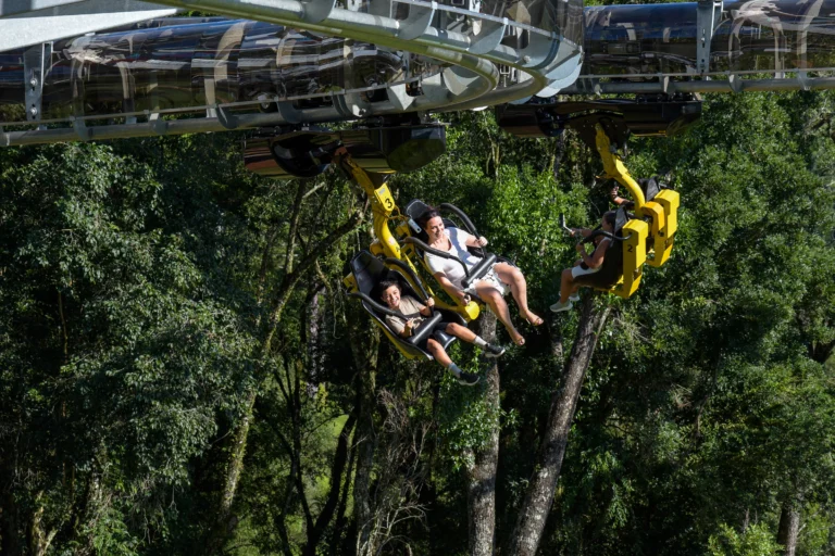 Pessoas em cadeiras suspensas do Aerozuum Canela, percorrendo trilho aéreo em meio à mata nativa da Serra Gaúcha, com vista panorâmica e sensação de adrenalina nas alturas.