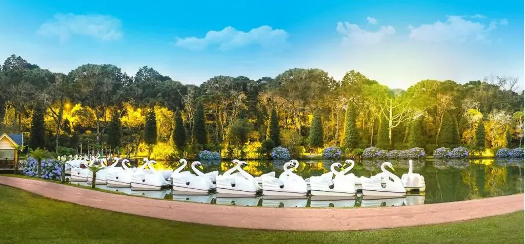 Lago Negro em Gramado ao entardecer, com pedalinhos em formato de cisne alinhados na margem, água refletindo as árvores iluminadas e jardins floridos ao redor, sob céu azul suave.