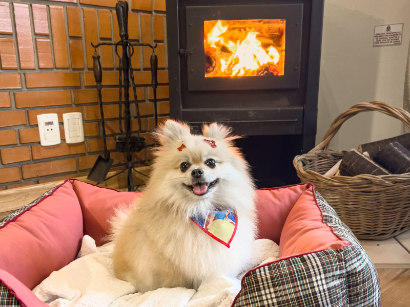 imagem-chalé-luxo-02